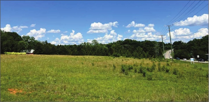 open land with trees