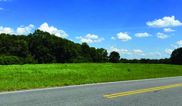 open land with trees